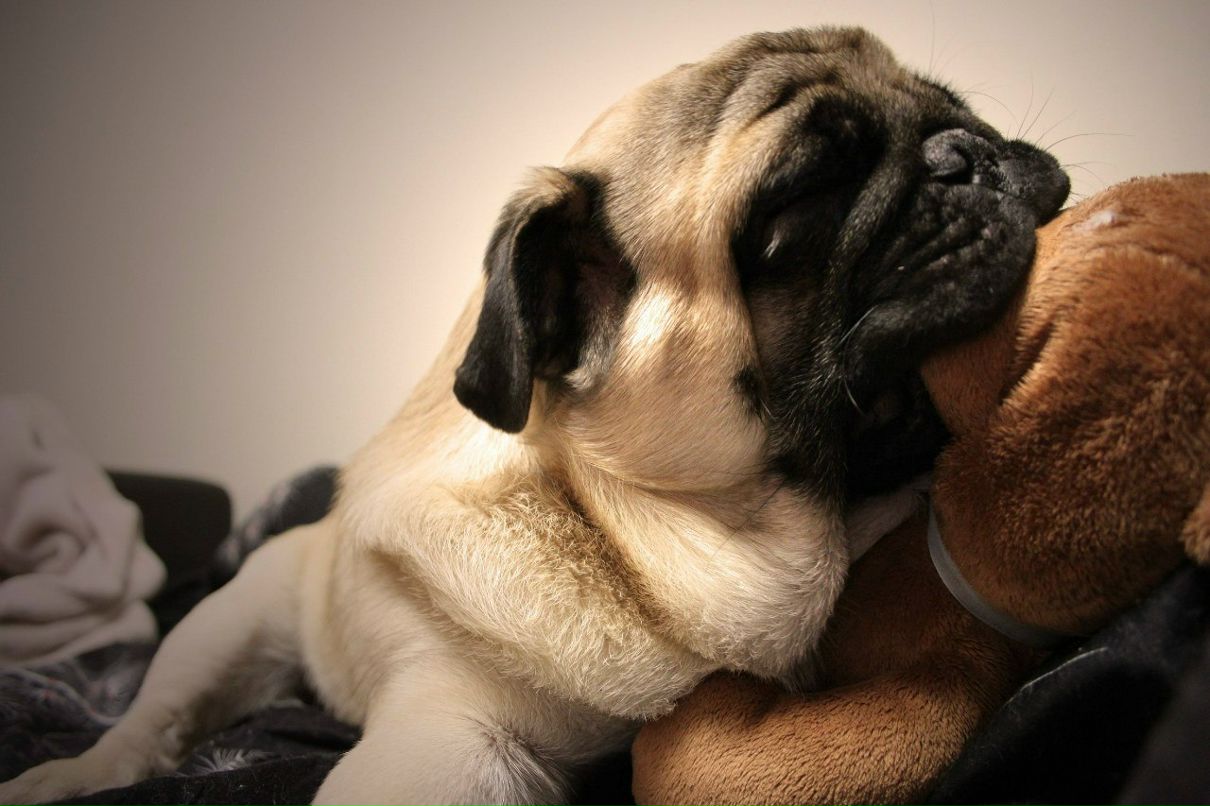 Артем Семиволос | 