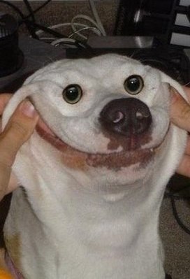 Денис Дурасов | Одесса