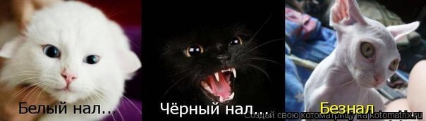 Дина Петрашевская | Минск