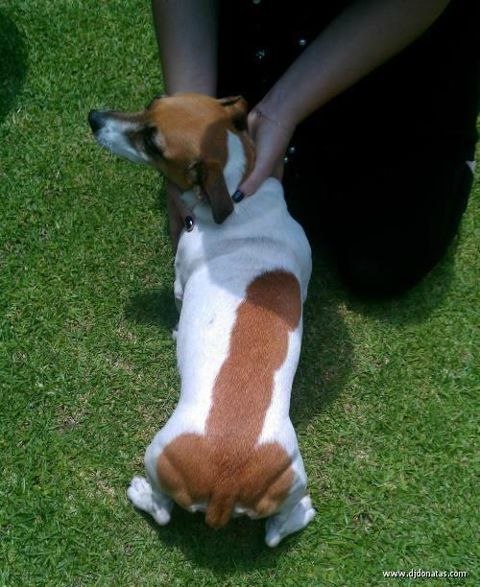 Лёха Солонский | Балашиха