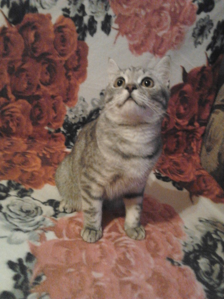 Любочка Кузнецова =(*.*)= | Москва