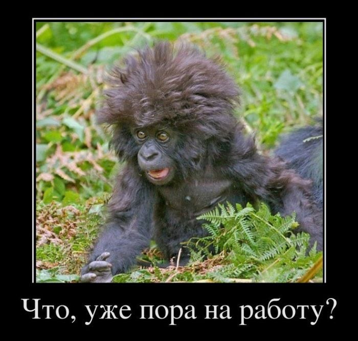 Танюша Япарова ♥sweet-girl★ | 