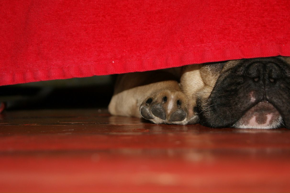 Влад Поляков | Тверь