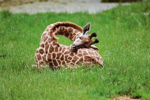 Yana Timokhina | Москва