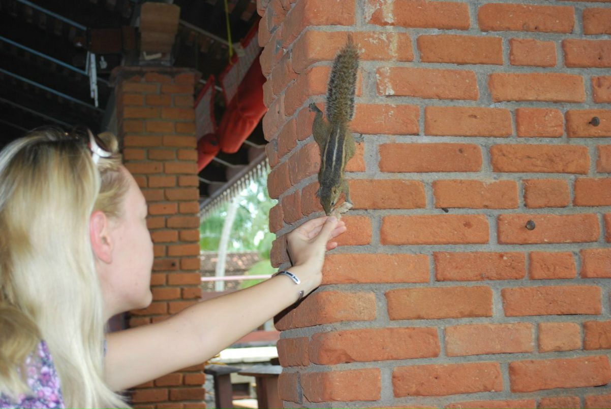 Светлана Ширкова | 