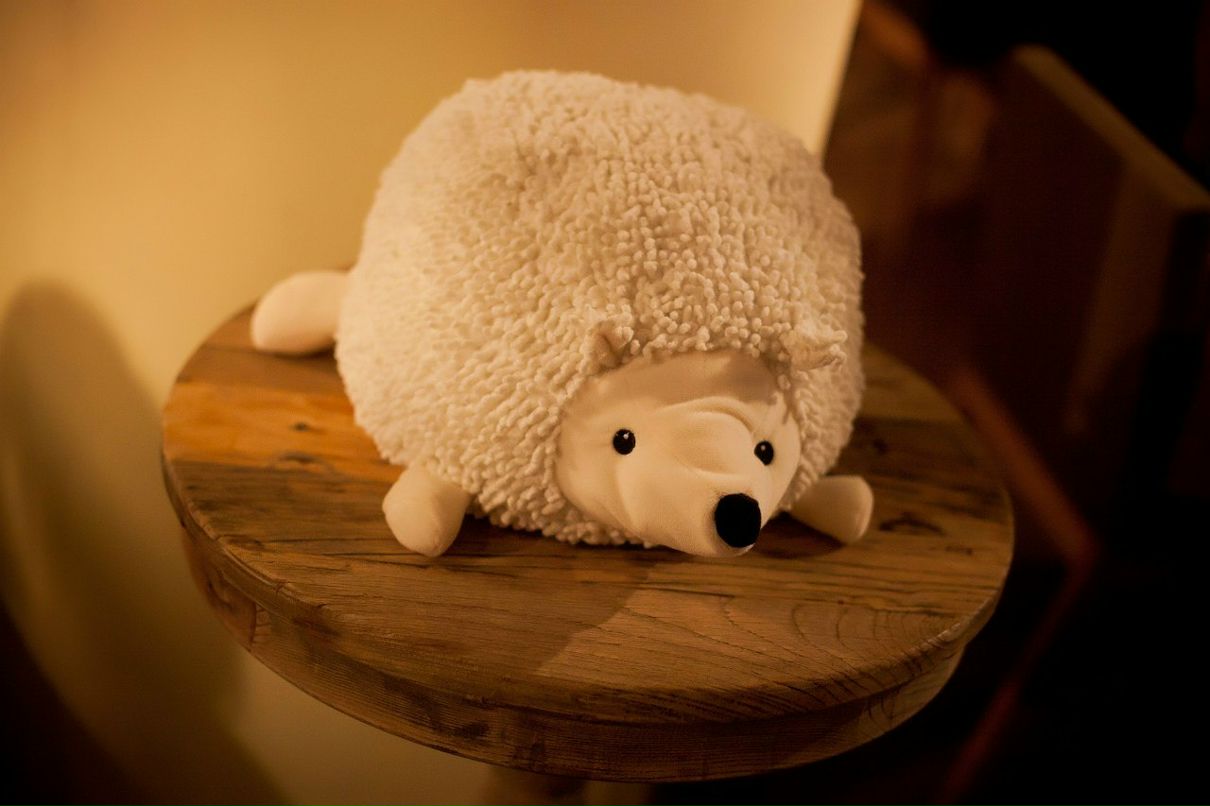 Юрий Яблоков | Санкт-Петербург