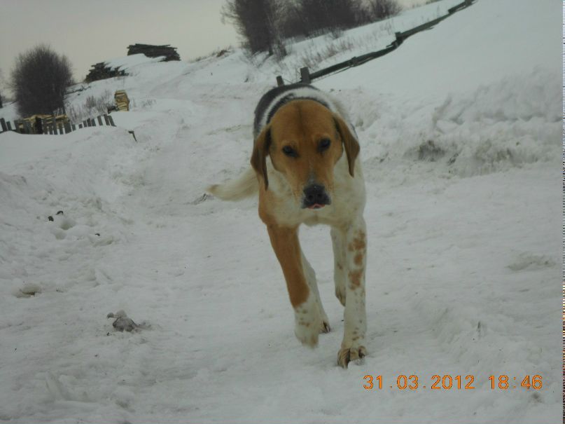 Екатерина Селезнёва | Пермь