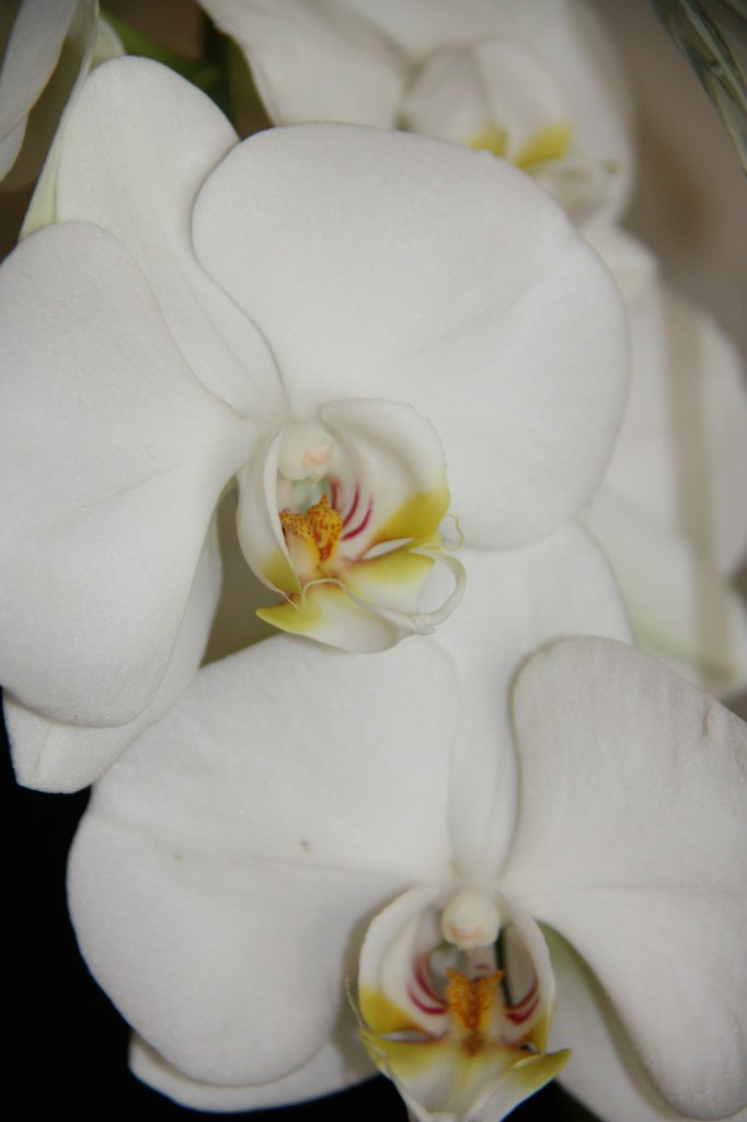 Виктория Большакова | Москва