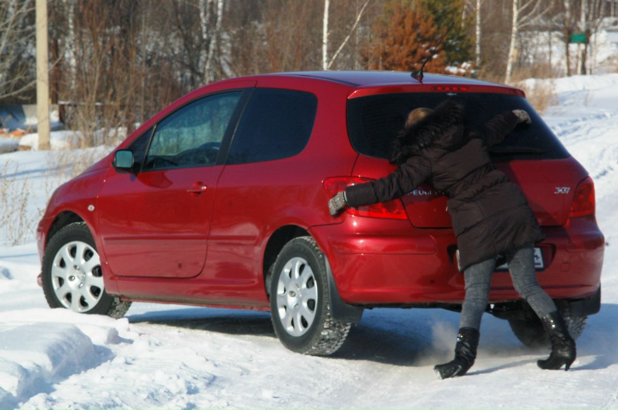 Дарья Быкова Васильевна | Новосибирск