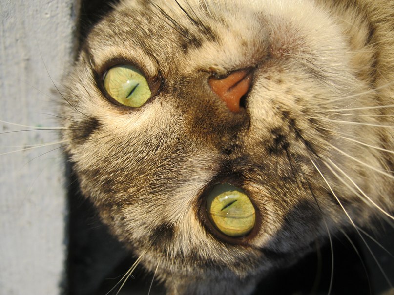 Катерина Новикова | Минск