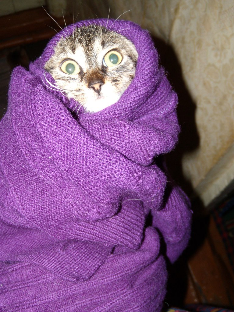 Таня Стрельникова | Тула