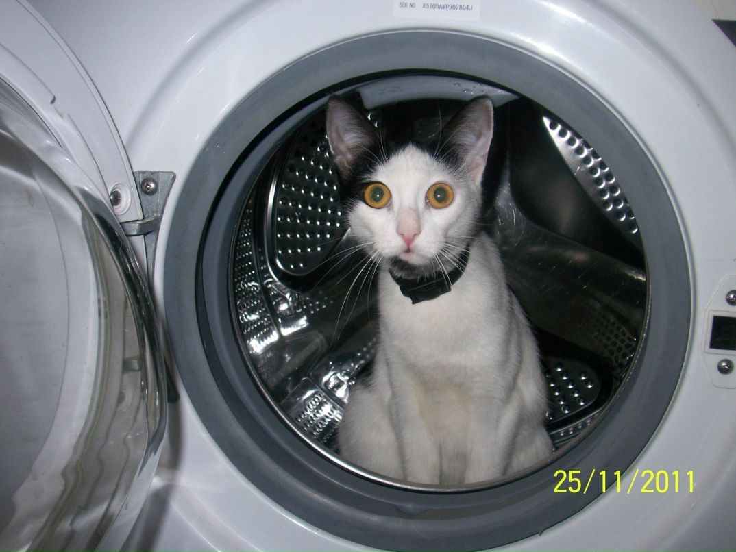 Артем Максименко | Санкт-Петербург