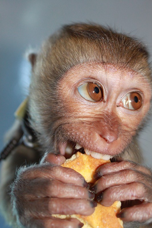 Никита Рогачев | Обнинск