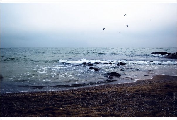 Виквик Вик | Москва