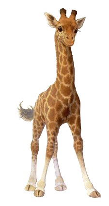 Яна Лапшина | Москва