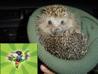 Людочка Смирнова | Миасс