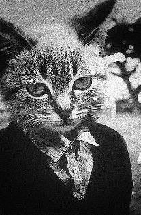 Александр Чайчиц | Жабинка