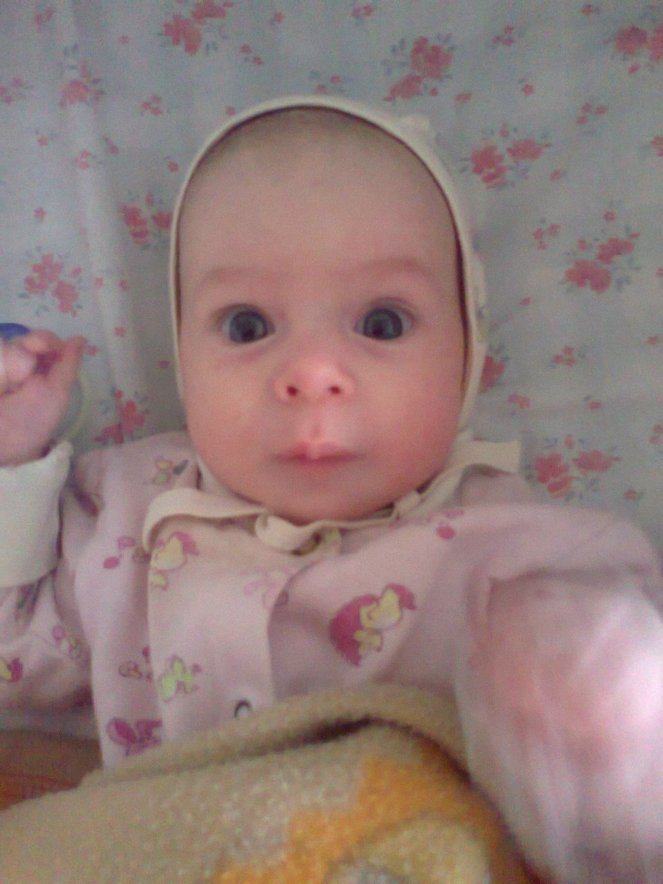 Александр Полтев | Санкт-Петербург