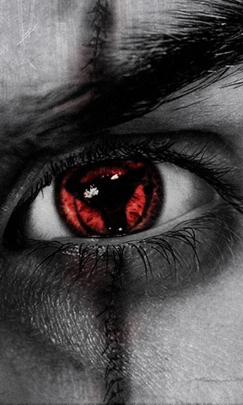 Дмитрий Анатольевич | Москва