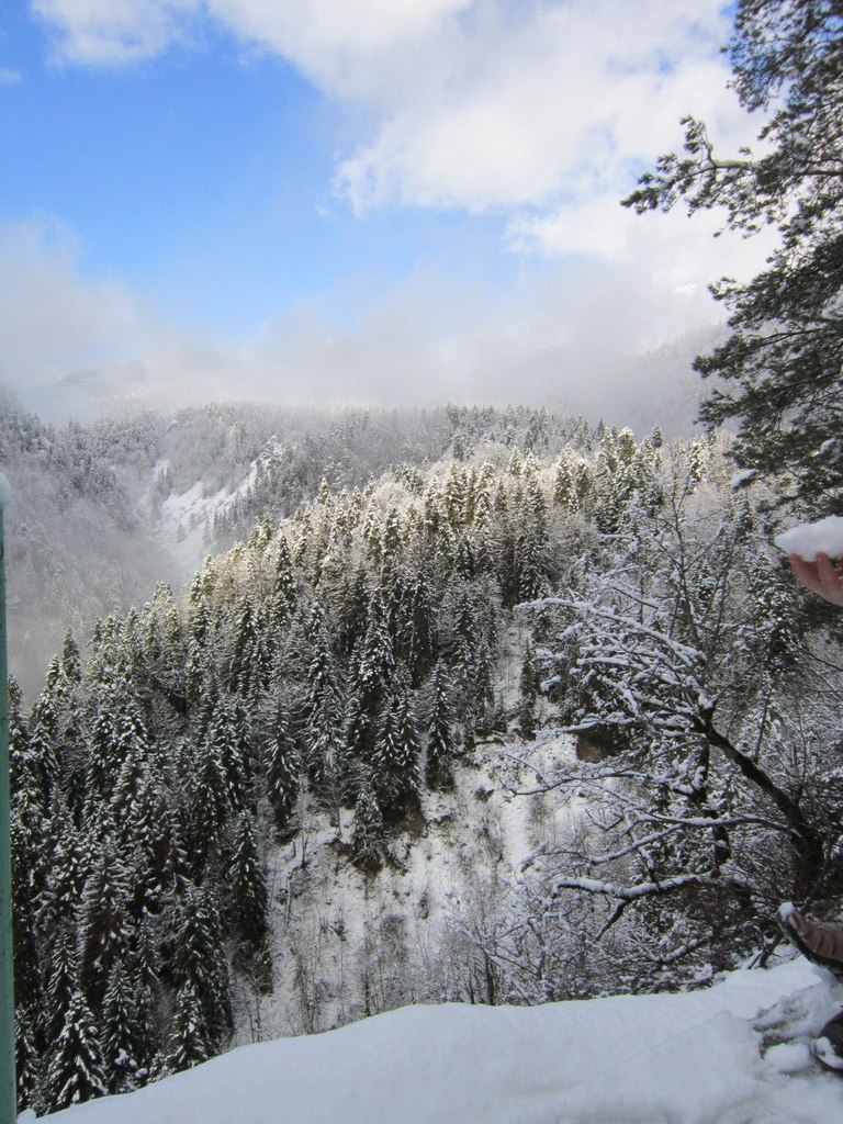Елена Бекяшева | Санкт-Петербург
