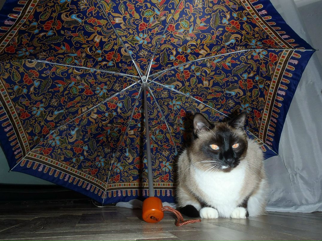 Елена Бочкарева | Пятигорск