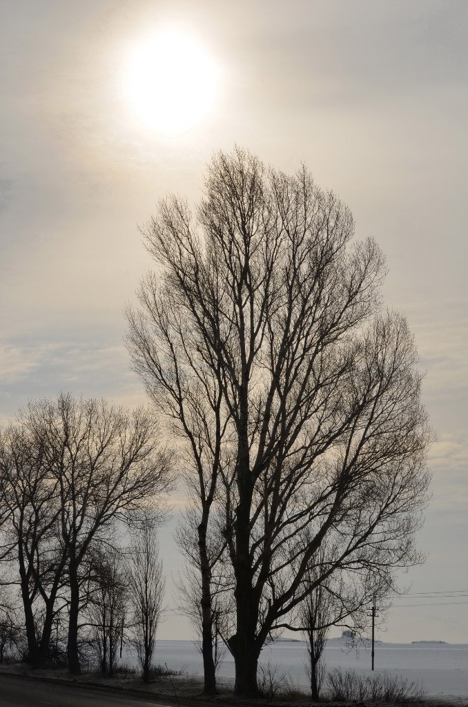 Ольга Агафонова | Таганрог