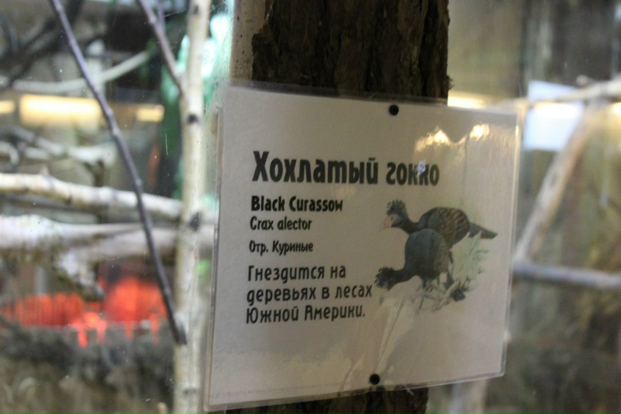 Екатерина Голубенко | Санкт-Петербург