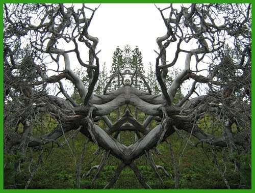 Владимир Лупачёв | Архангельск