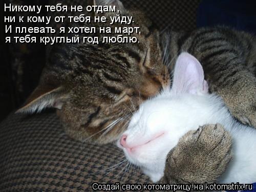 Анатолий Краев | Москва