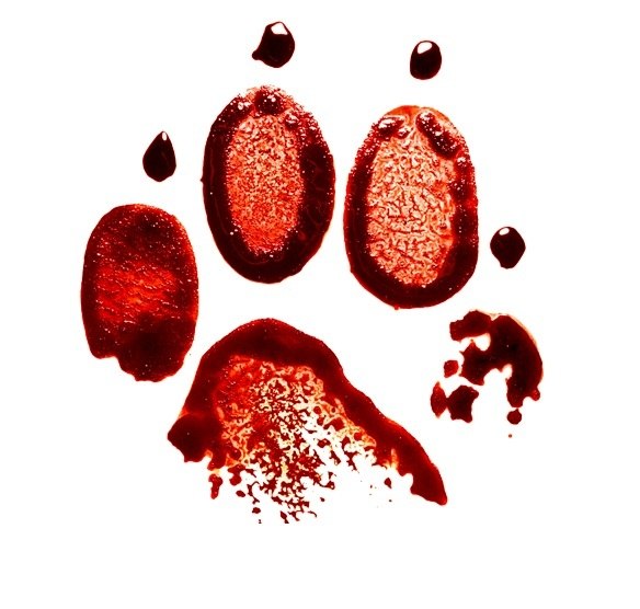 Виктор Ханхараев | 