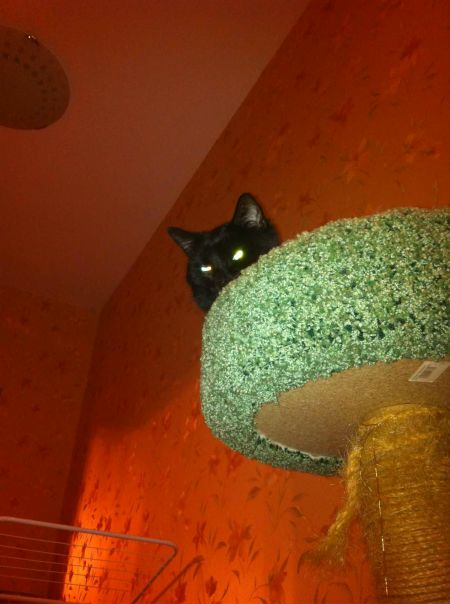 №174, Светлана Паршина, 39 лет, Москва №174, Светлана Паршина, 39 лет, Москва