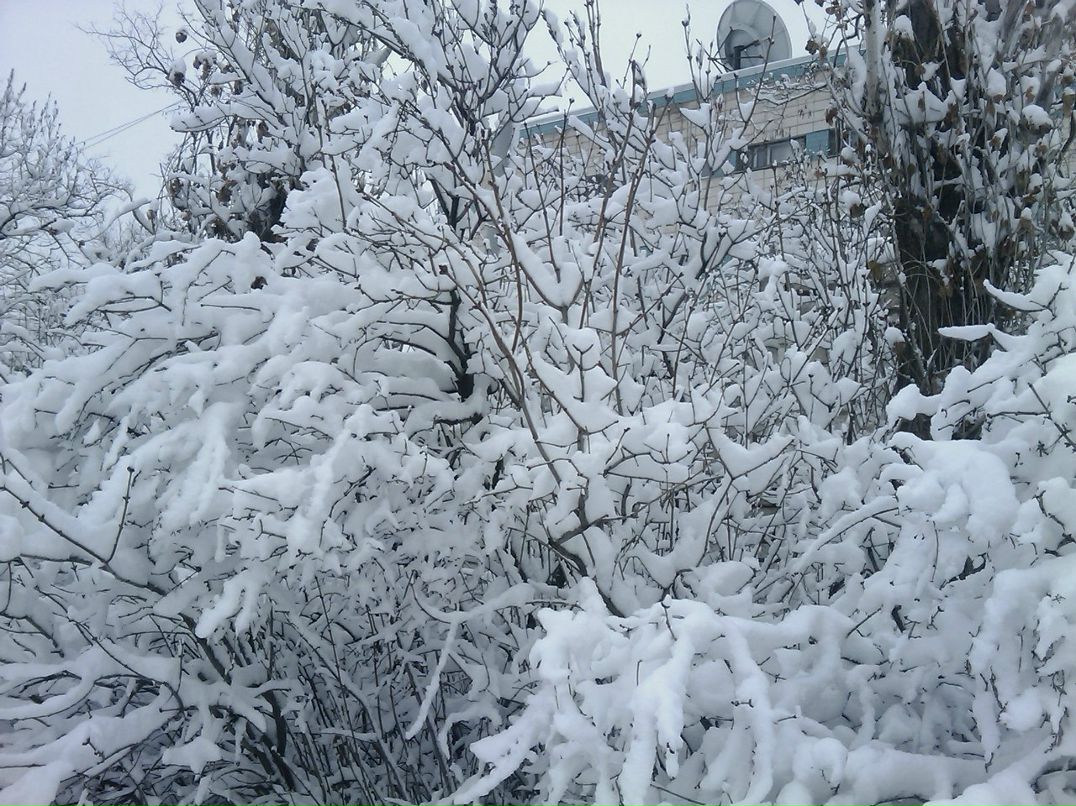Андрей Ерыкалин Варяг | Волгоград