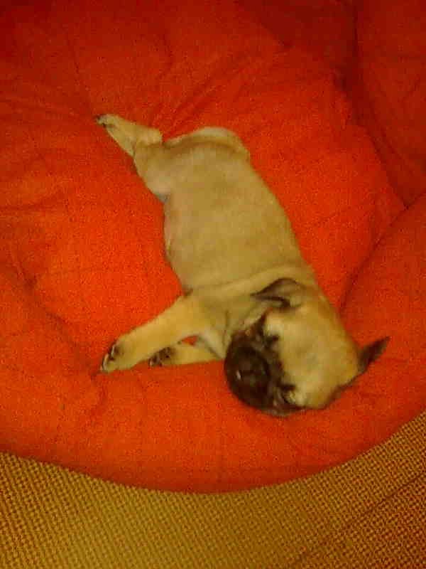 Светлана Козлова | Екатеринбург