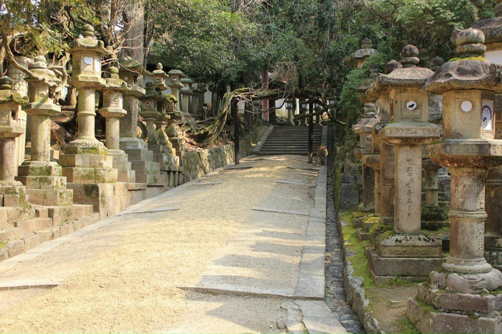 Oksana Pleshkova | New York City