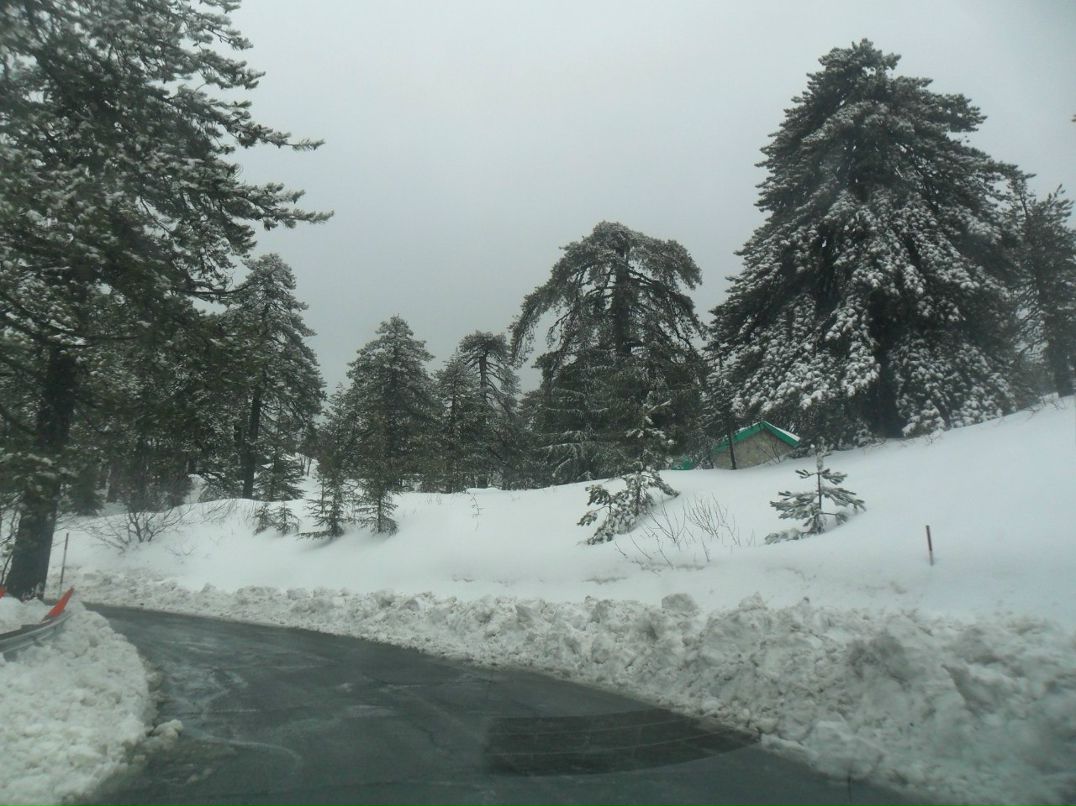 Varya Wulf | Stuttgart