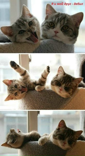 №87, Oleg Loki, Санкт-Петербург №87, Oleg Loki, Санкт-Петербург