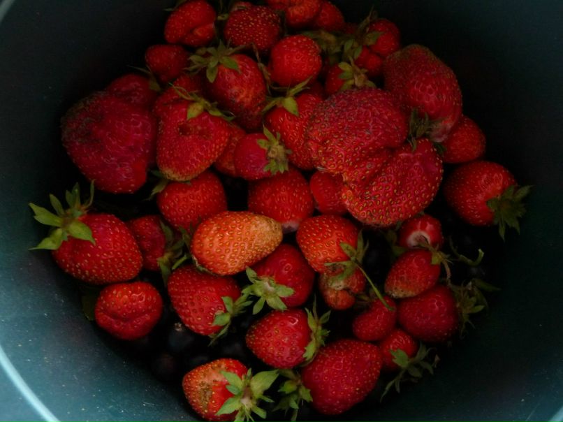 Юлия Горева | Омск