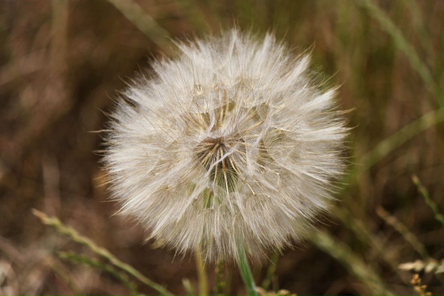 №24, Lev Soroka, 36 лет, Ивано-Франковск-16 №24, Lev Soroka, 36 лет, Ивано-Франковск-16