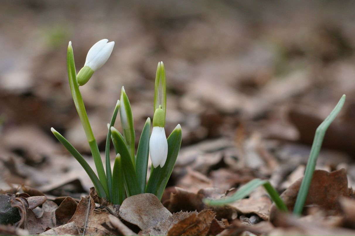 Марина Потылицина Сергеевна | Воронеж