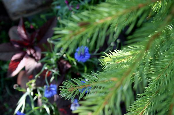 №3, Татьяна Старикова №3, Татьяна Старикова