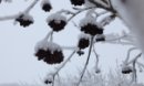 №2 Ольга Черкасова : профиль, фото, статус - ВКонтакте