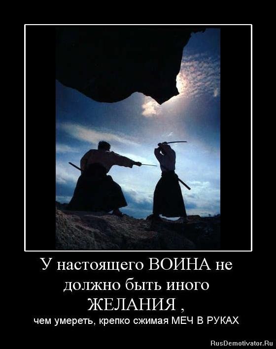 Сайг Вахрейт Yagami Light Ветер | 