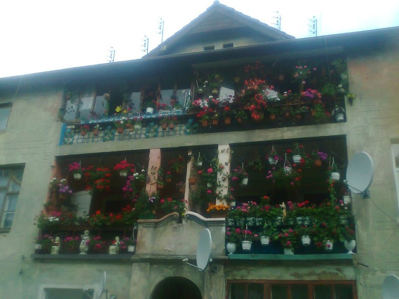 Наталья Богданова | Апатиты