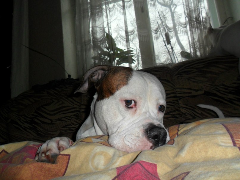 Жека Раджабов | Киев