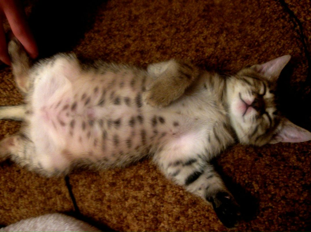 Руслан Алексеевич | Красноярск