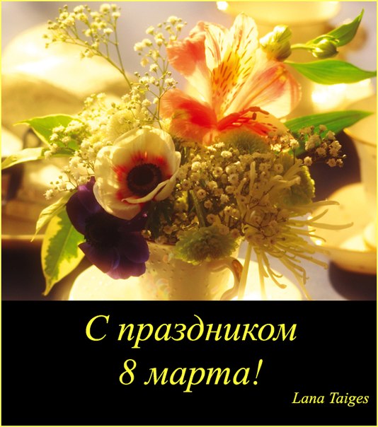 №82, Лана Иванчева, 53 года, Cuenca №82, Лана Иванчева, 53 года, Cuenca