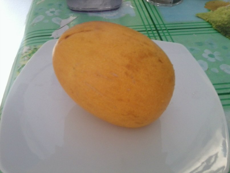 Мария Шицына | Пермь