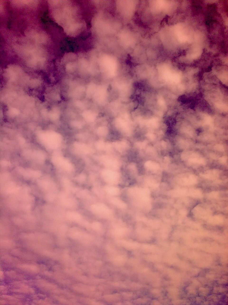 Дмитрий Коломенсков | Воротынец