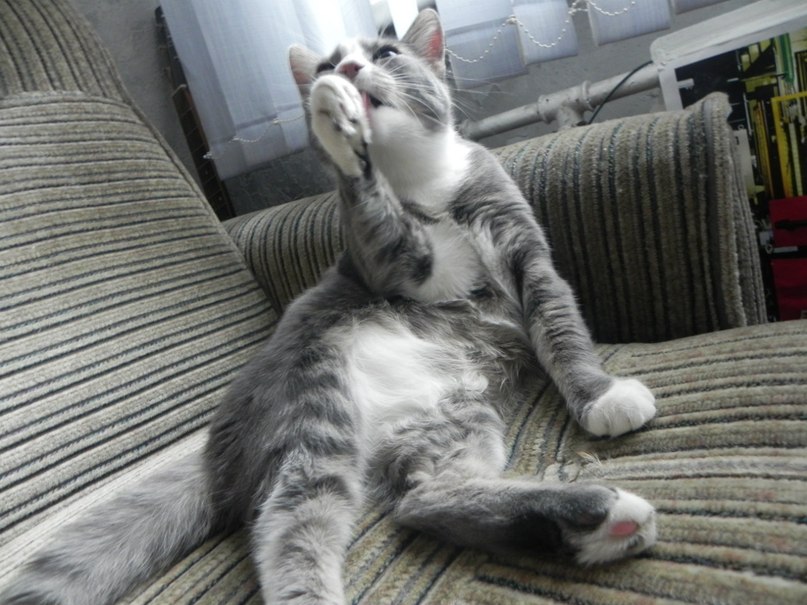 Максим Мусапиров | Санкт-Петербург