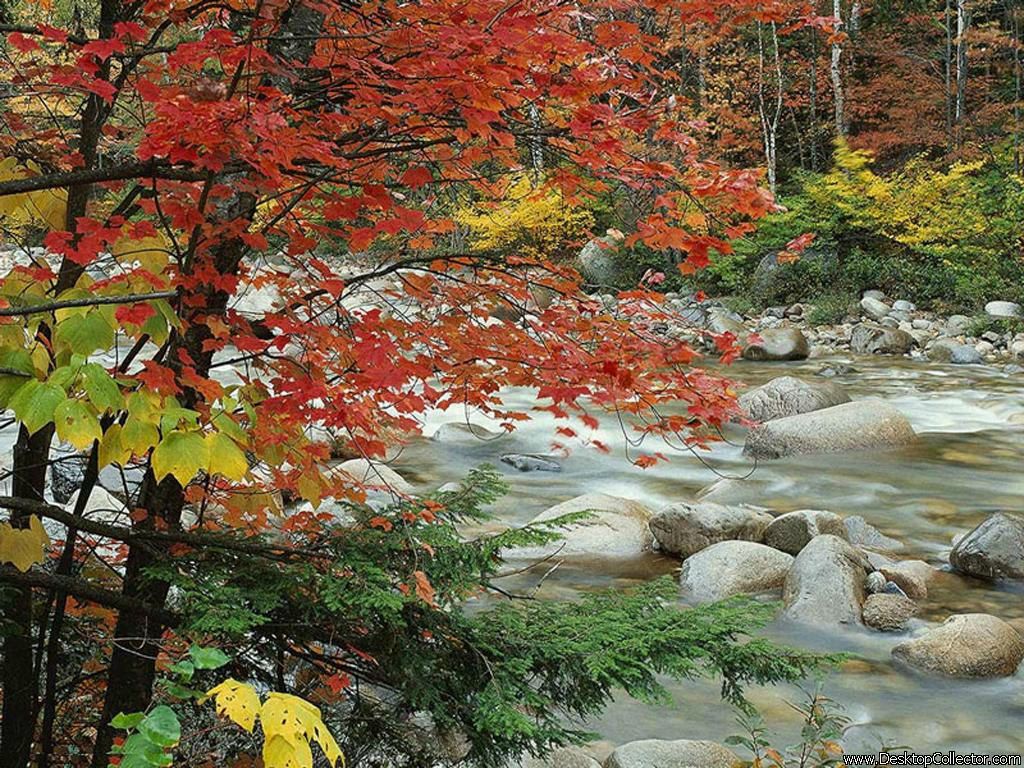 Вика Вольхина | Кемерово